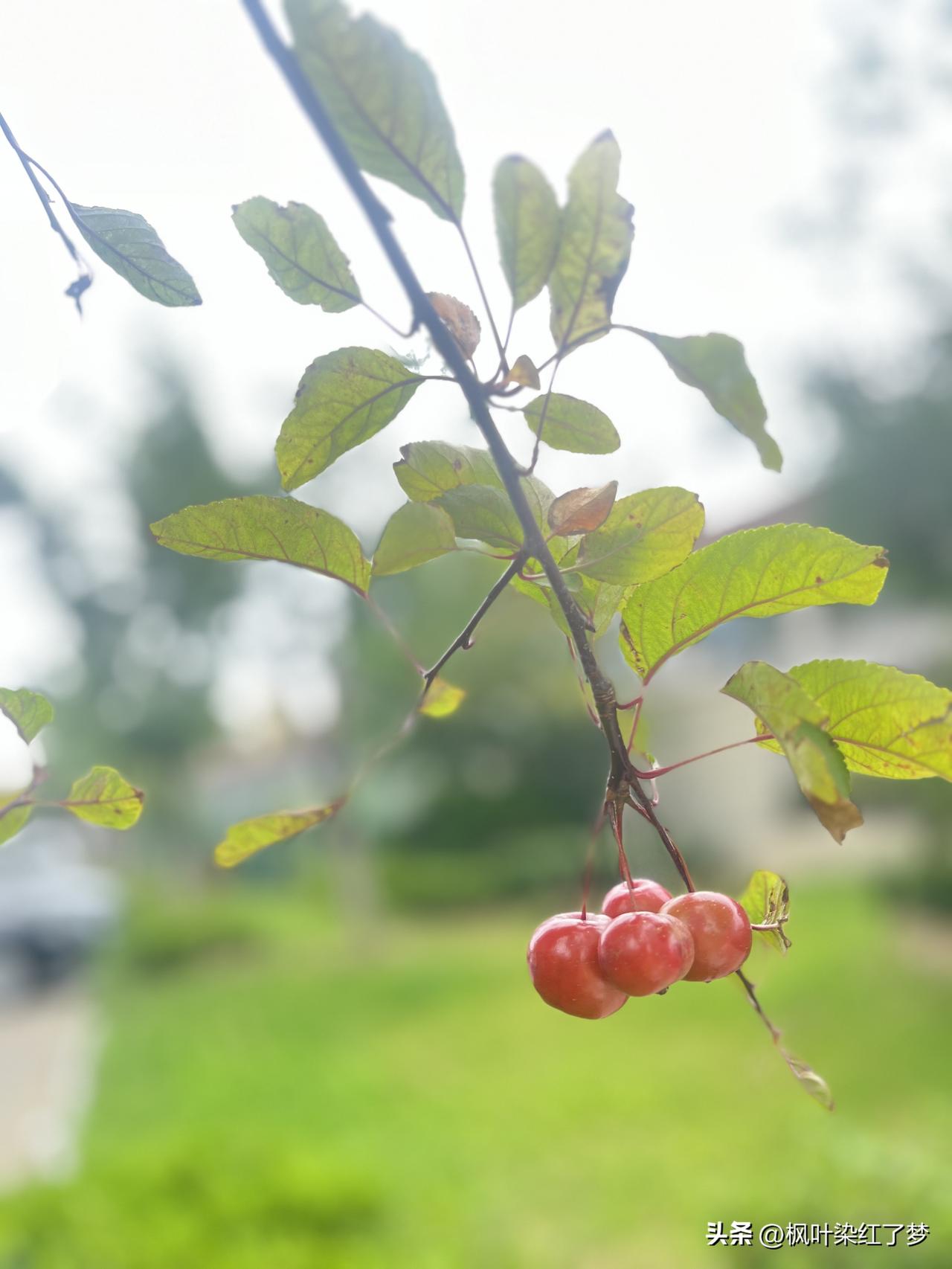 一位金融学家说：“钱换成任何东西都很容易，但是到手的东西想再换回钱就很难。所以能