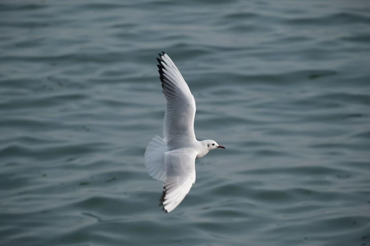 一个人,健康和财富,哪个更重要?财富虽然重要，如果没有健康的身体作为基础，有再多