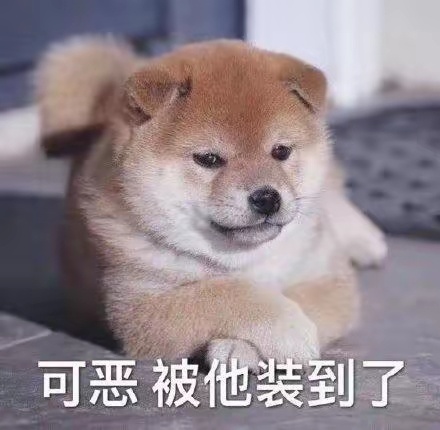 人类的悲欢并不相通，连柚管直播回放都没时间听的我只觉得清酱吵闹…