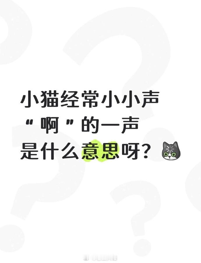 小猫经常小小声“啊”一声原来是这个意思[拜托] ​​​
