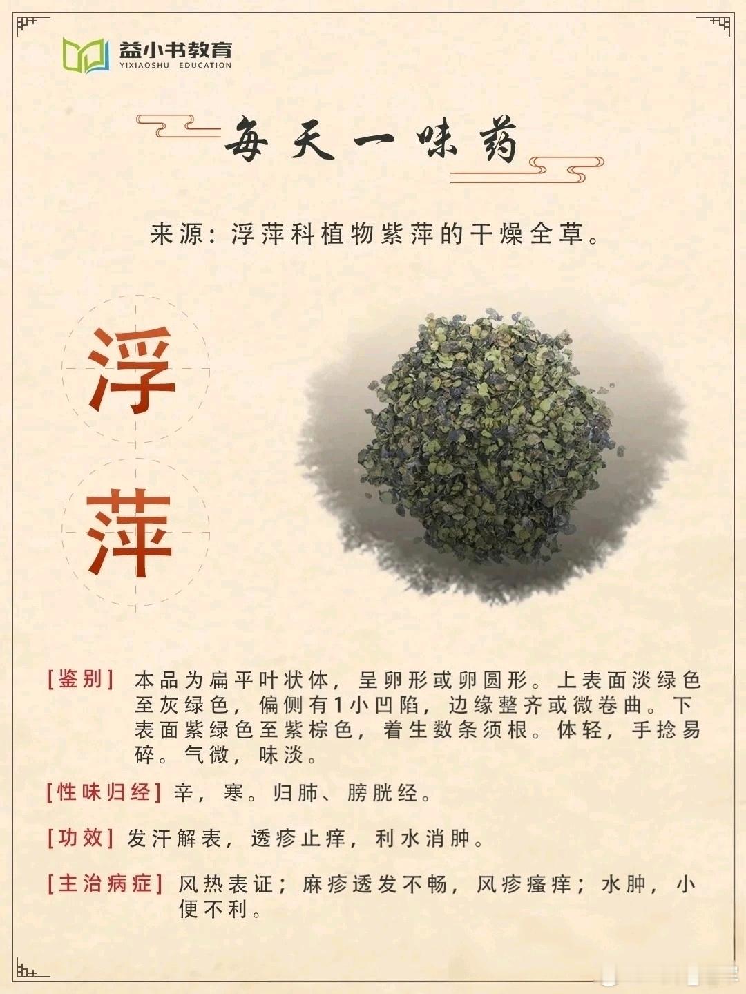 浮萍，多得是，咱老百姓用于皮肤瘙痒、急性荨麻疹、红疹、药疹的良药，还能长须发  