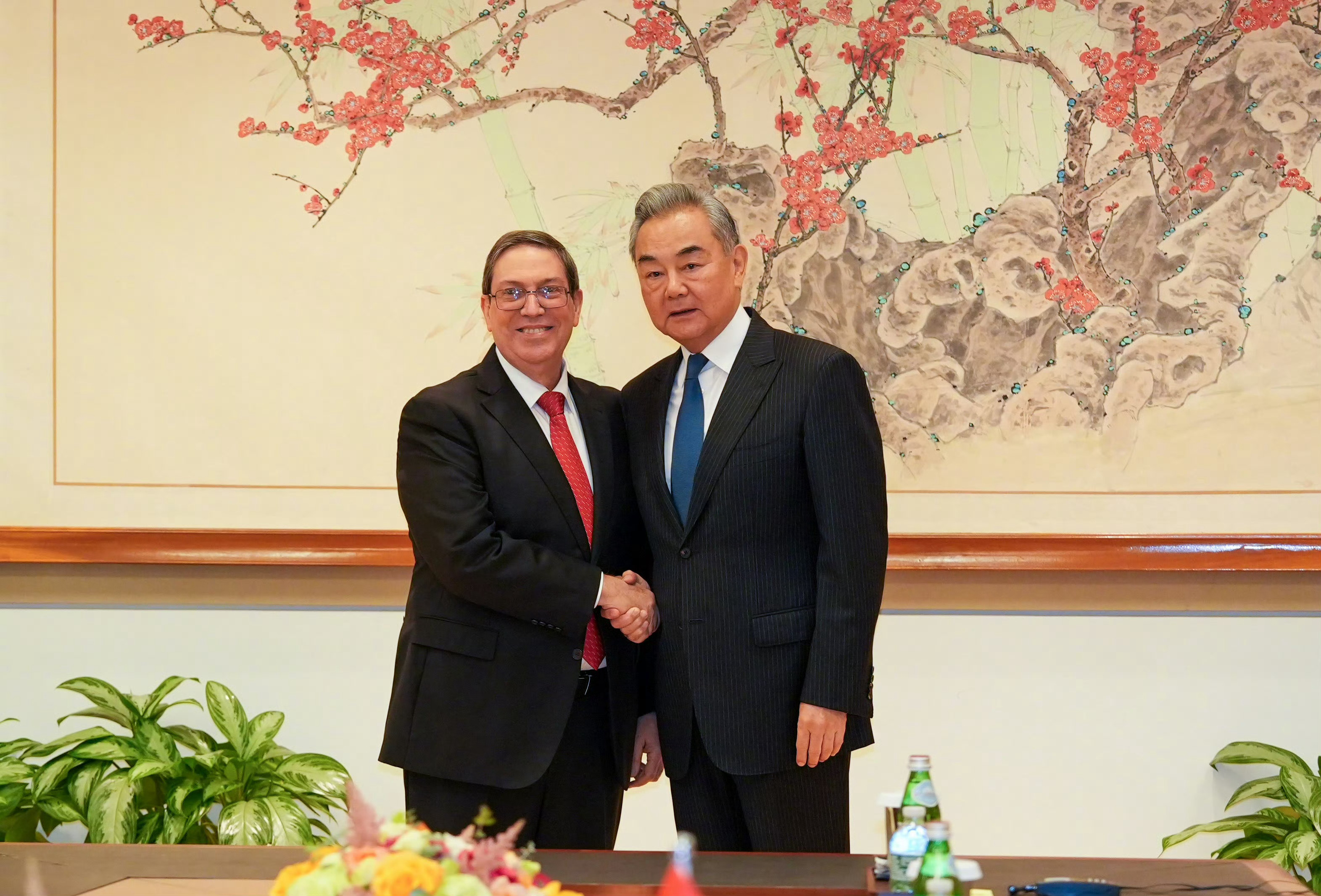 王外长会见古巴外长 