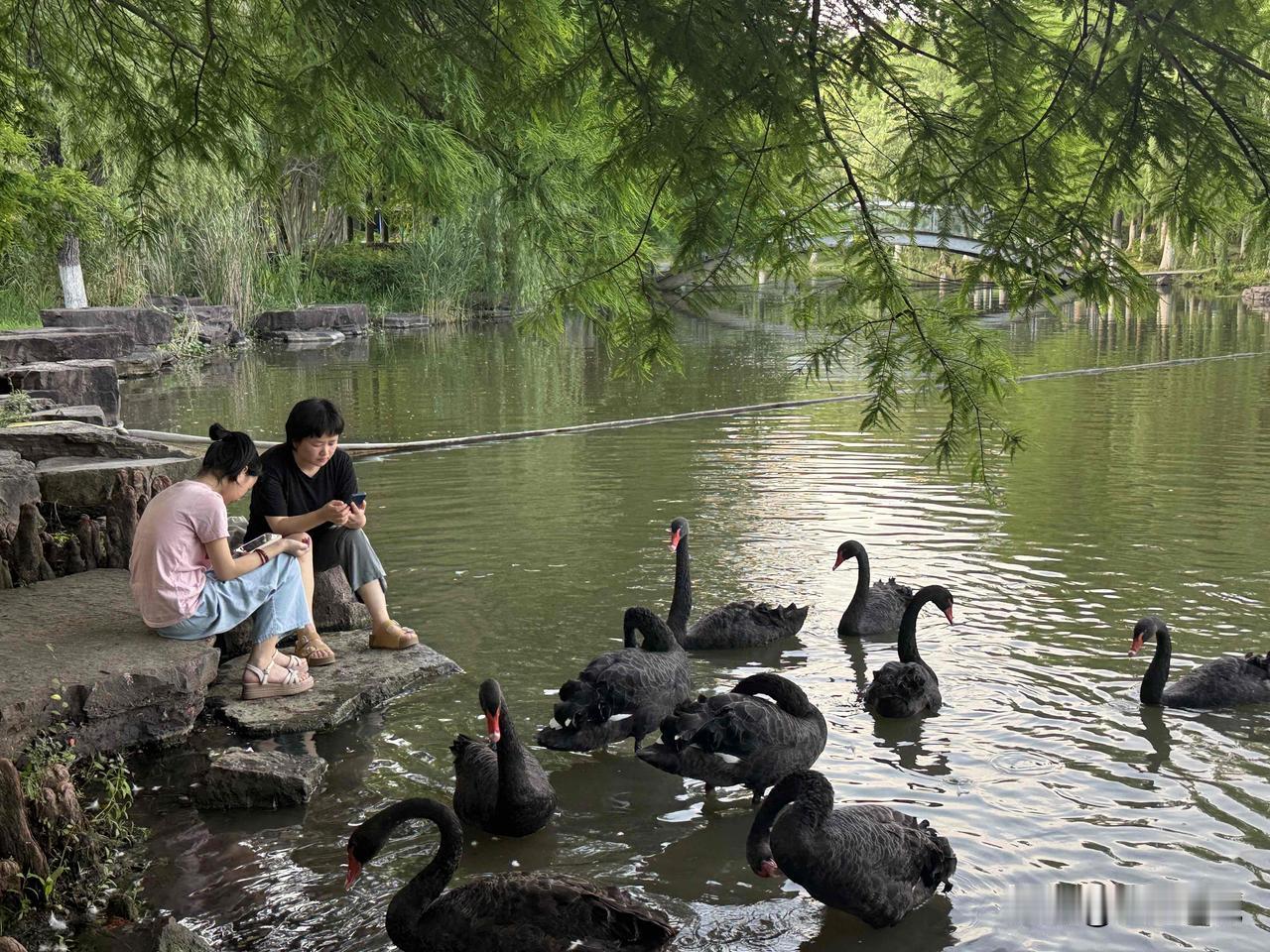 心理学家告诉家长：要站在孩子一边打败问题。而不是	站在问题一边打败孩子。其实你也