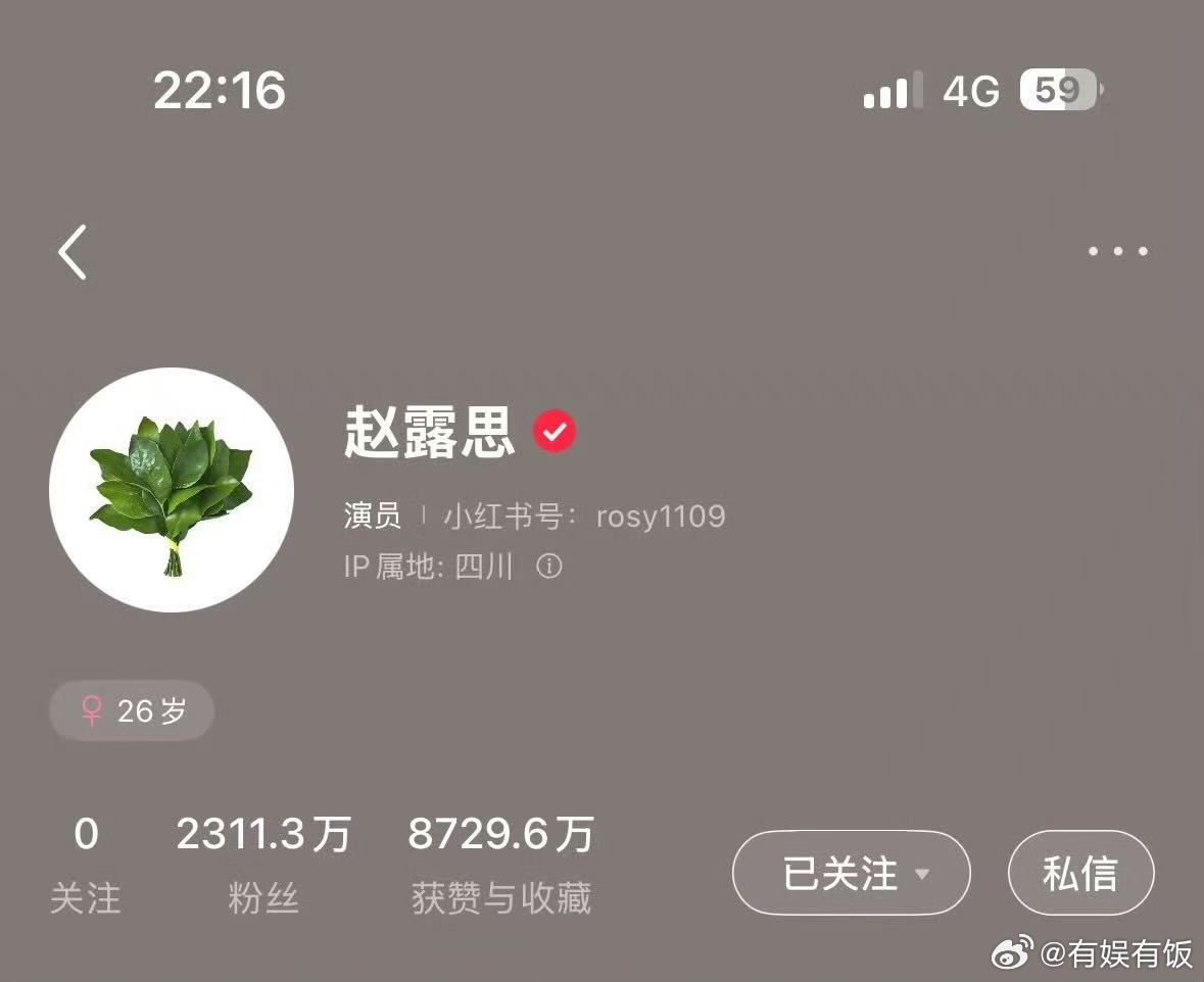 赵露思换柚子叶头像赵露思去晦气专用头像赵露思去晦气专用头像，哈哈哈， ​​​