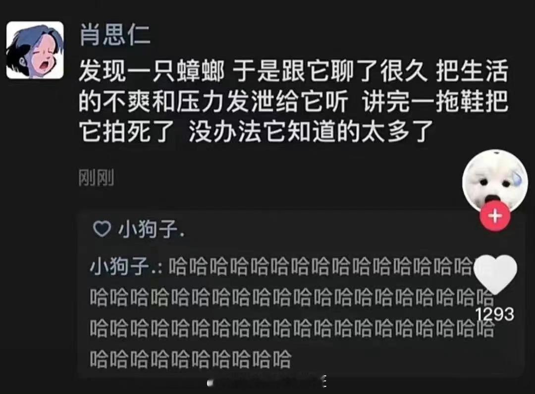 23岁清华女博士对人生的真实感受 先是27上交博导，这又23清华博士，卷不动了，