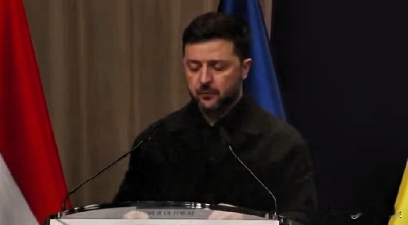 泽连斯基在海牙举行的欧洲委员会会议上发表讲话:“每一起俄罗斯的战争罪行都必须让肇