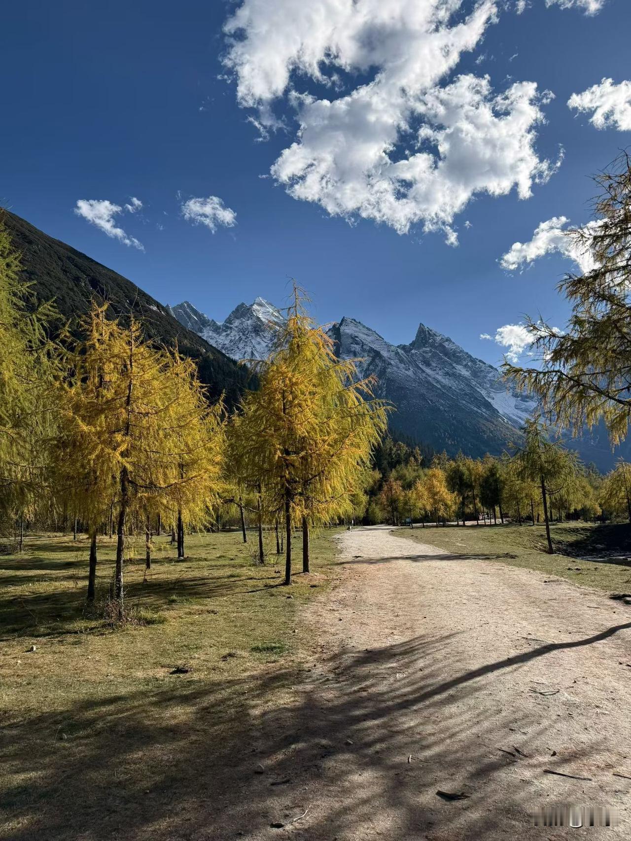 昨晚下班后，跟了一位啊姨同事出去买东西，很多事我是不敢做的，她带我去占便宜。
