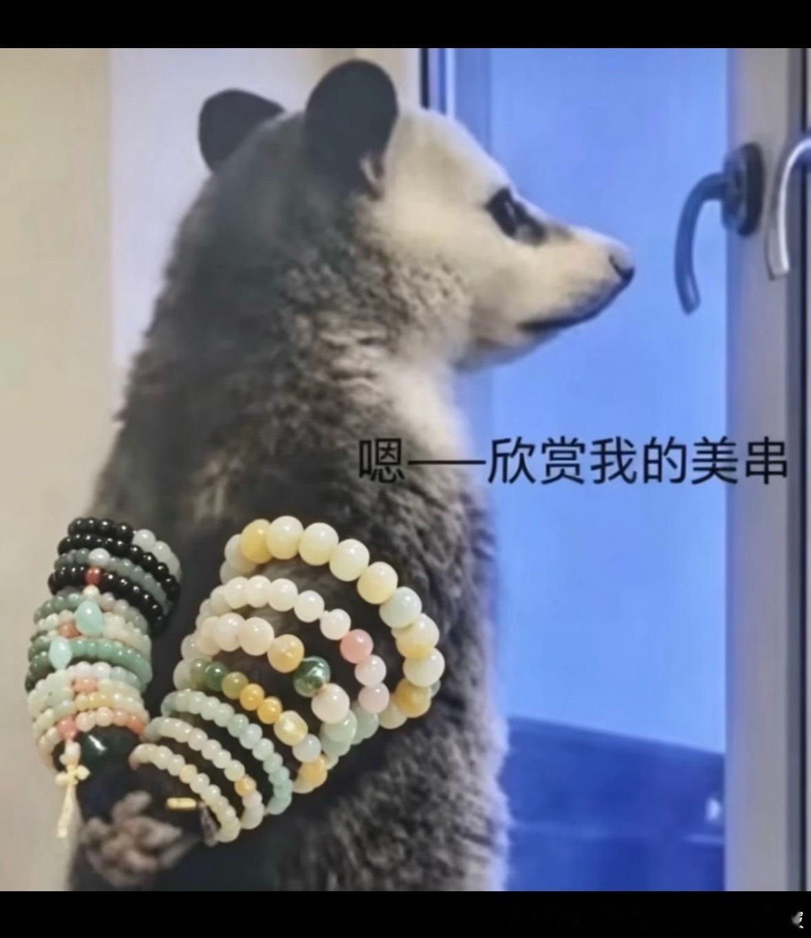 不行了，这不我吗，笑死我了