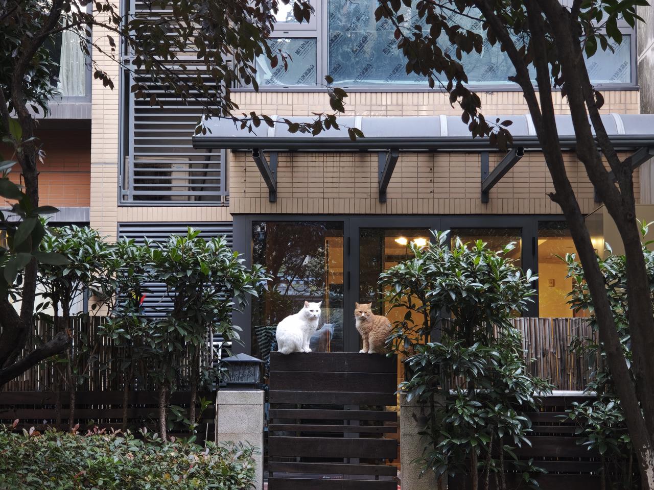 很奇怪，那个时候农民并没有任何不公平的感觉。，只是羡慕。当时，阶层跨越渠道非常狭