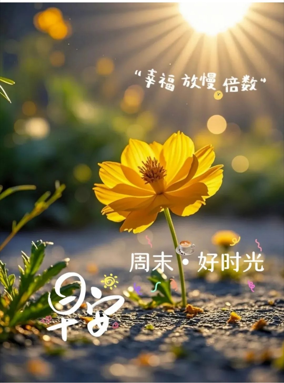 写文案[超话]周末早上，可以稍微歇一歇，忙累了就偷点空闲，放平心态好好感受普通日