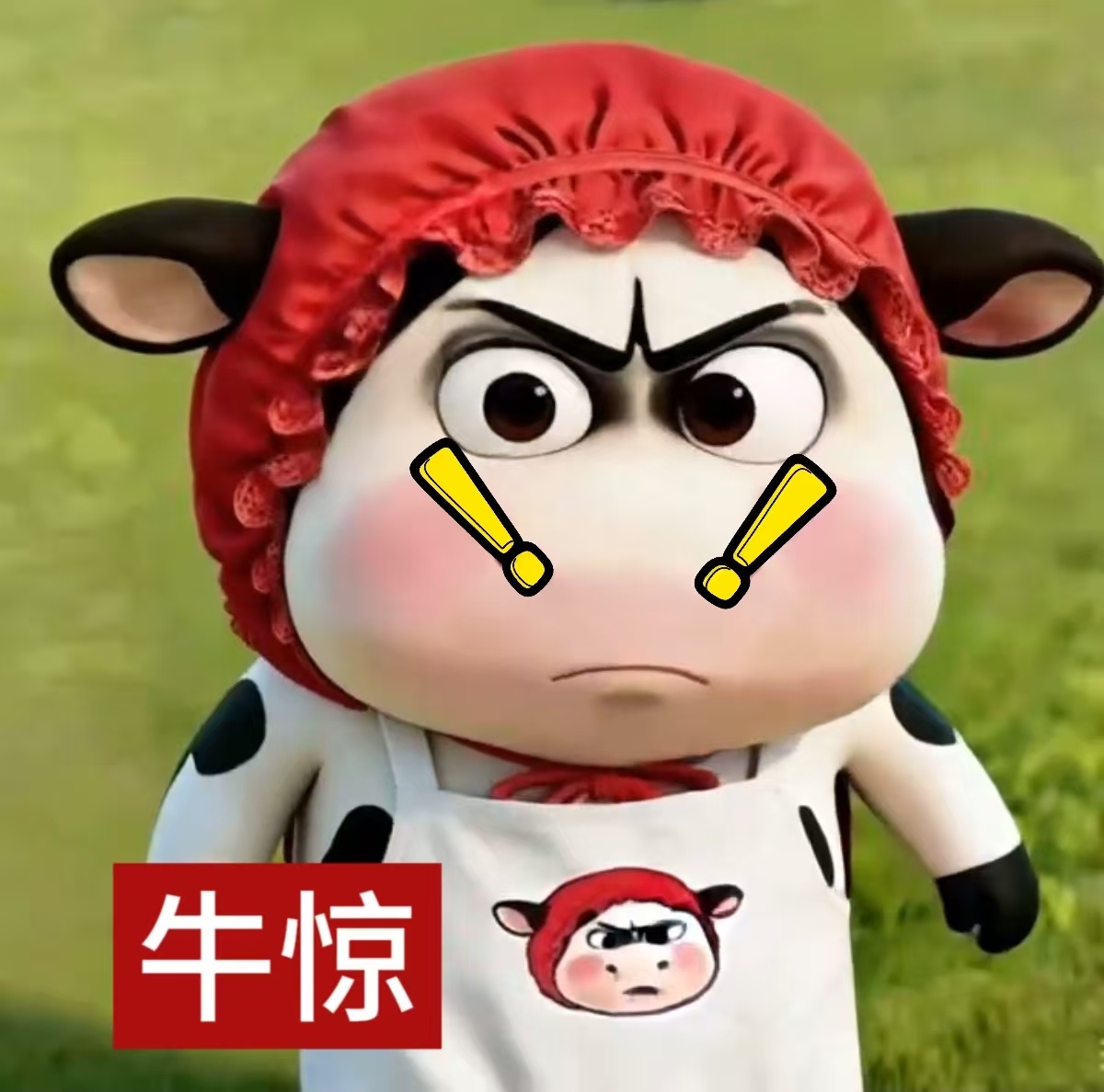 再次叹服z本力量 