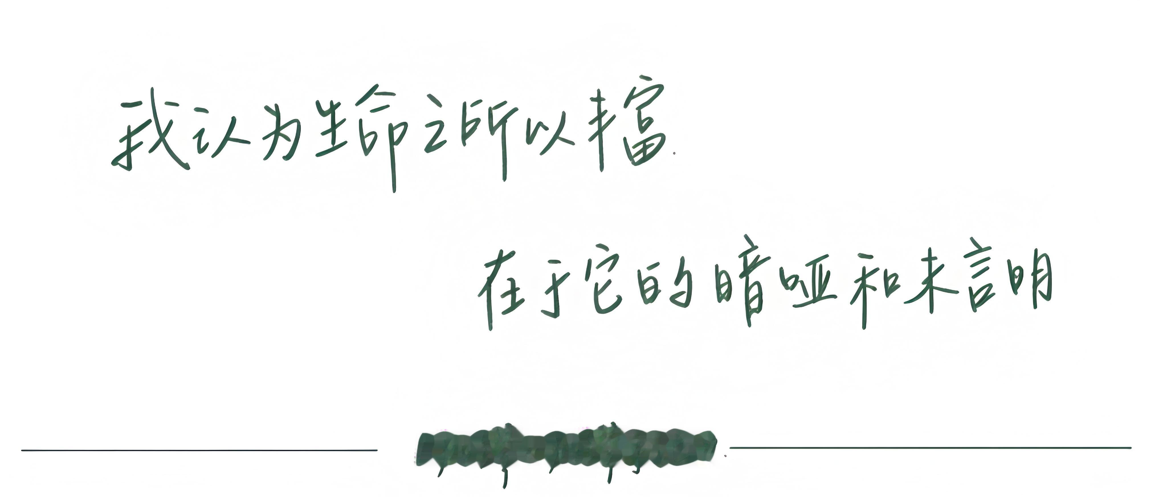 我认为生命之所以丰富在于它的暗哑和未言明/加缪《加缪手记》 
