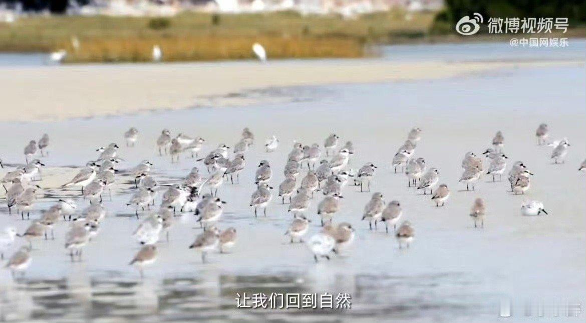 #罗大佑为地球写新歌# 地球妈妈需要我们的呵护，罗大佑的歌就是最美的环保宣言！ 