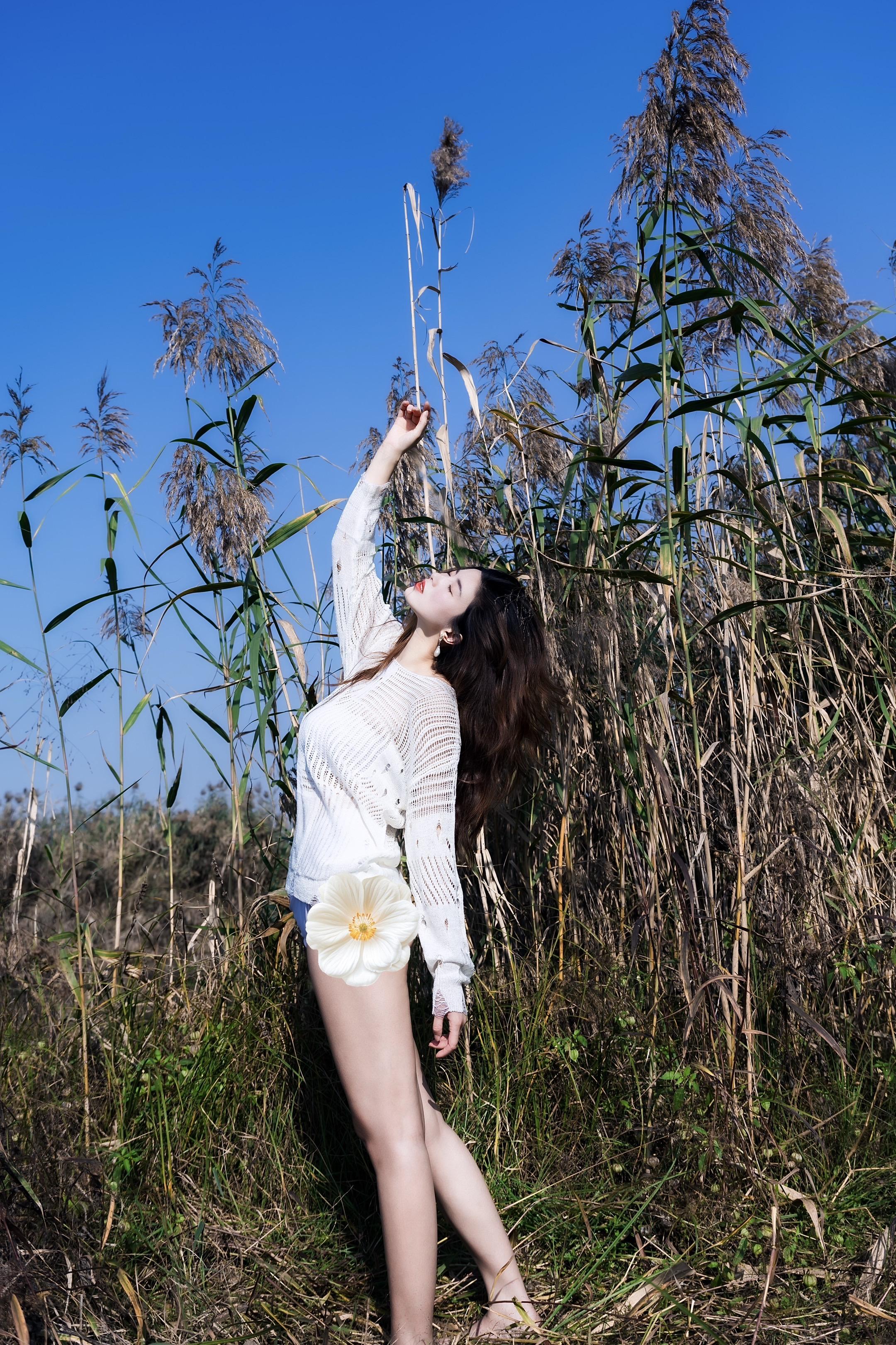 阳光明媚的芦苇荡｜感受旷野的气息。《御姐户外慵懒写真》 模特
