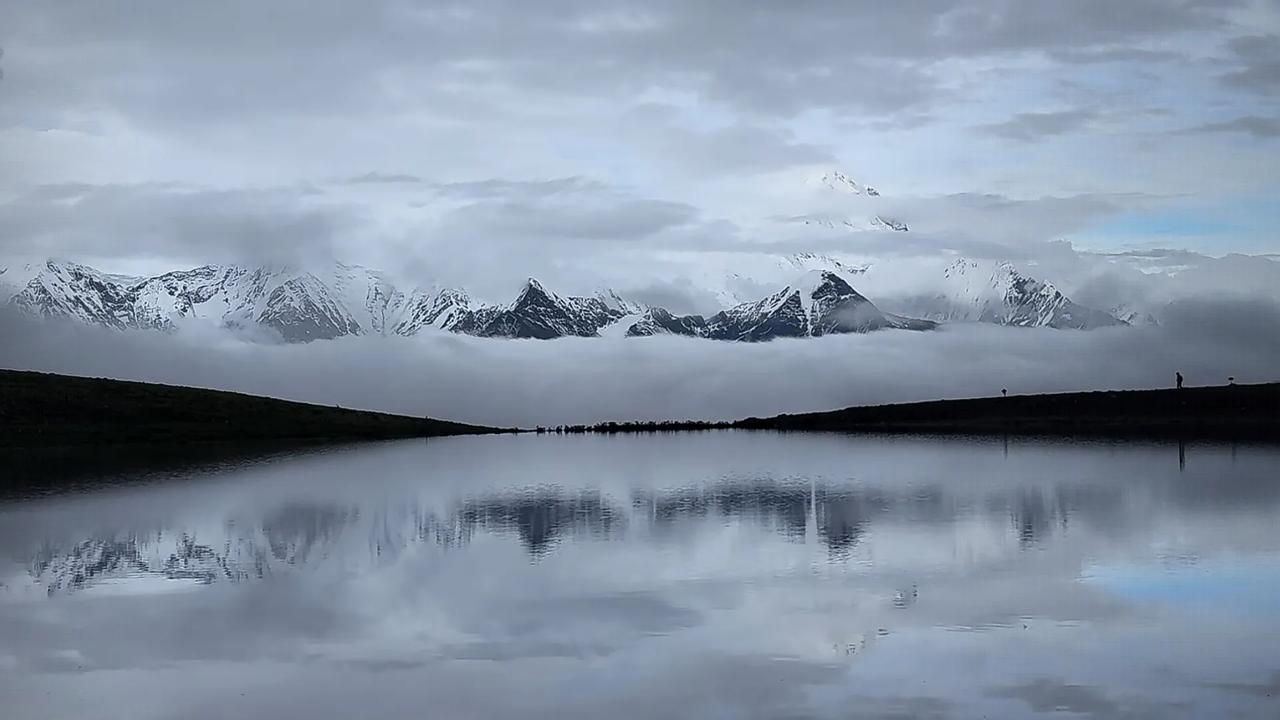 骄阳把高原的石头晒得发烫，可一阵风掠过高山草甸，带着雪水的凉意扑在脸上，刚冒出来