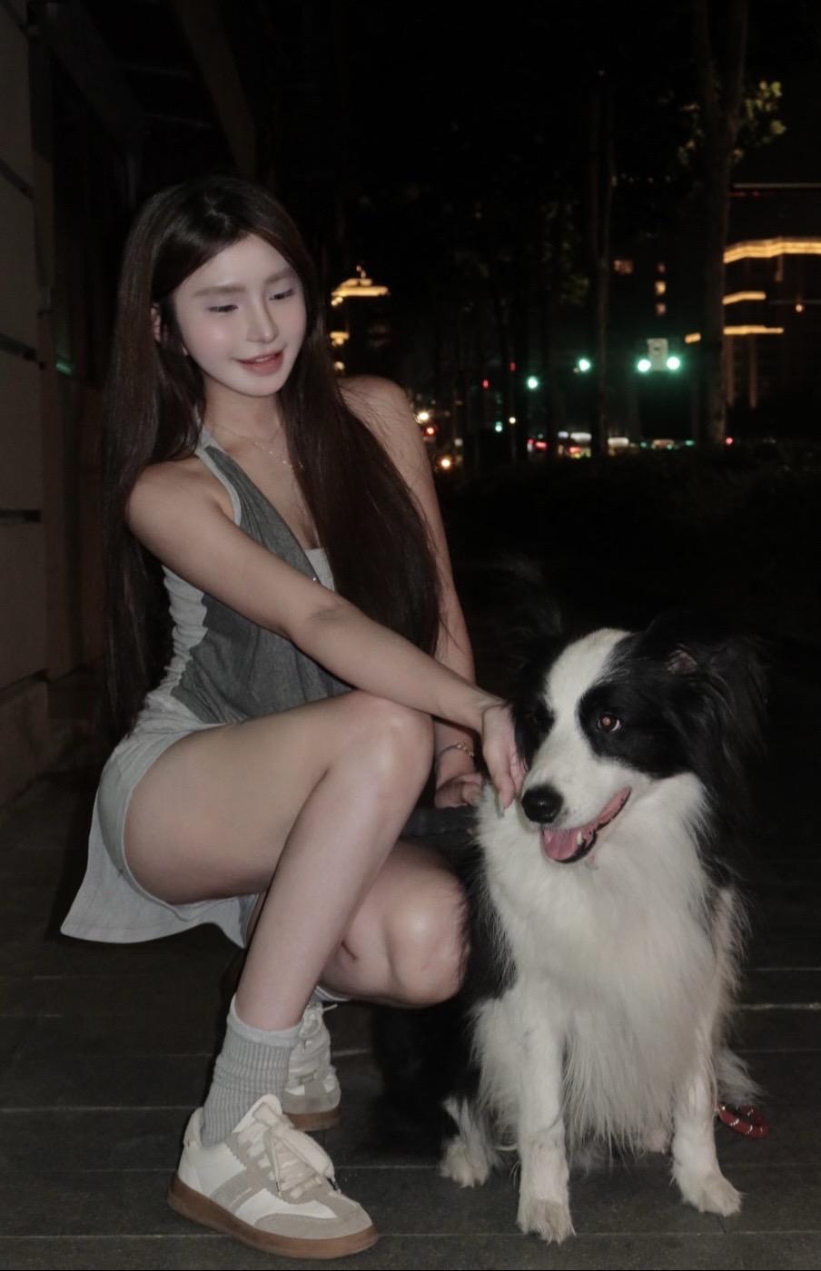 世界不让狗狗说话 是因为爱和忠诚要用行动表达