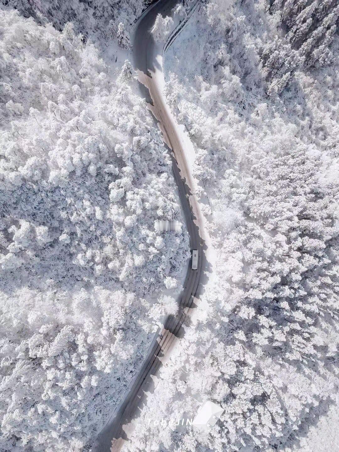 接下来的庐山，堪称南方看雪天花板！