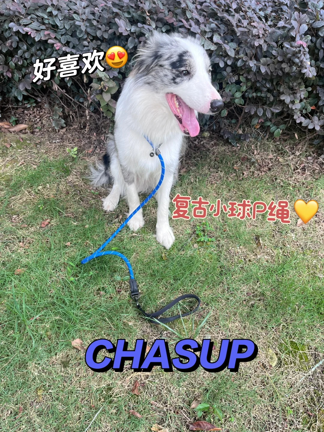 到底是谁发明的一体式P绳啊？！