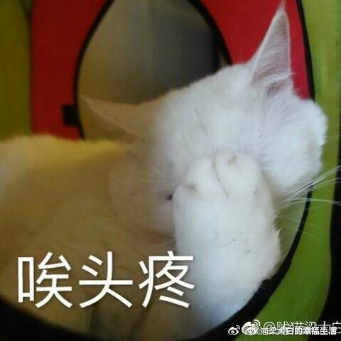 今天这雨下的太缺德了，正下班时间，大雨倾盆而下。下班的人淋着大雨到家了，太阳出来