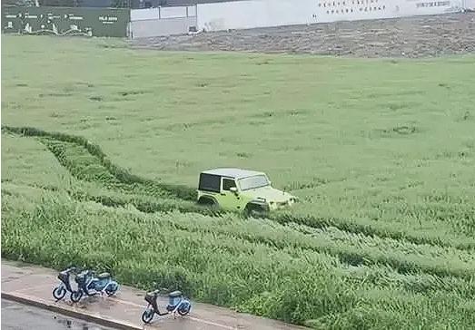 “可以撒欢，不能撒野！”4月18日，在浙江嘉兴的一块麦地上，一辆越野车肆无忌惮地