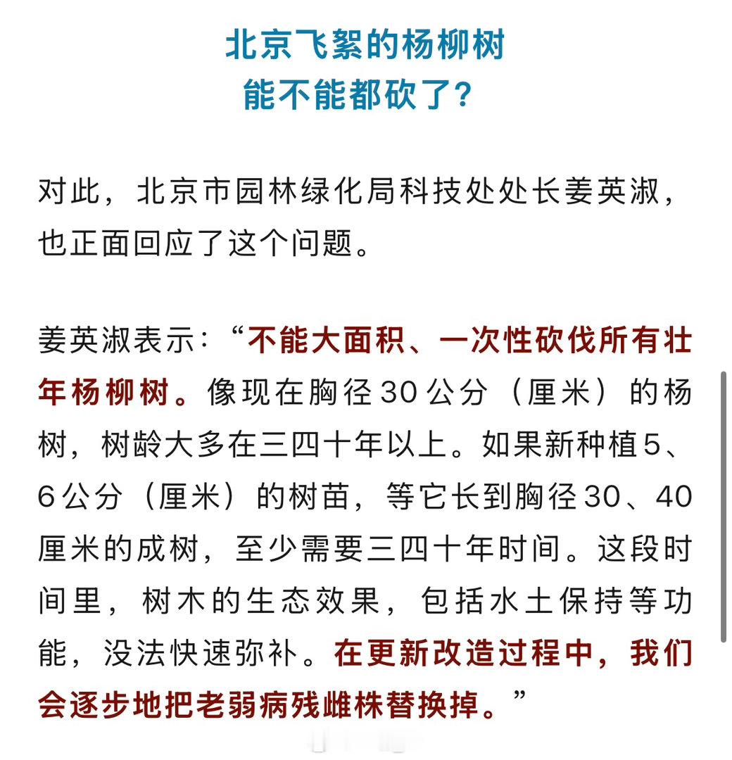 官方回应为什么不能把杨柳树都砍了谁懂春天的痛：口罩、眼镜、过敏药齐上阵只是想好好