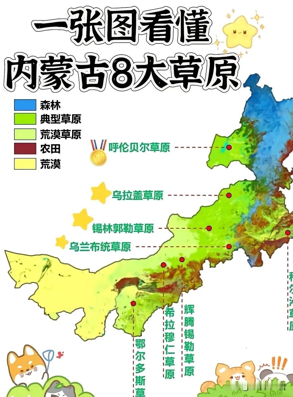 内蒙古八大草原，都是天然牧场，风吹草低见牛羊，美味的牛羊肉就来自于此。