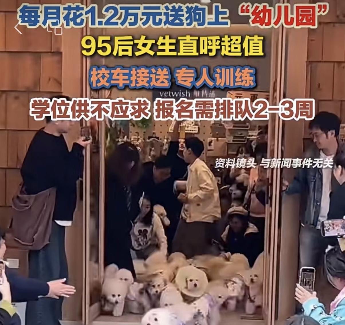 人类的幼儿园、小学不断关停，而宠物幼儿园却在持续扩张，并且收费高昂。此消彼长之间