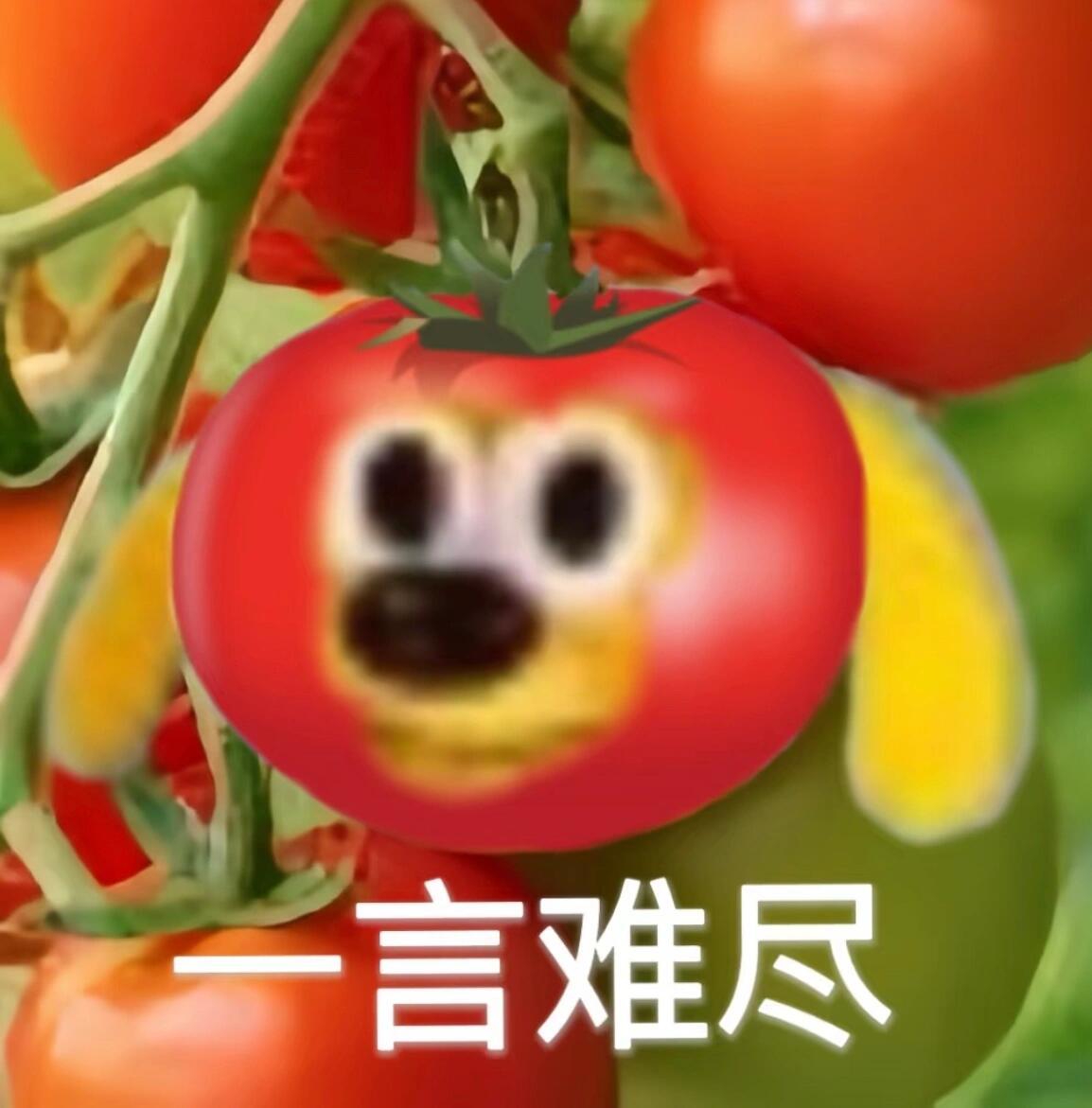 妈妈说我是个0一个寻常的晚上，我跟妈妈坐在客厅里。妈妈（突然郑重地开口）：“你知