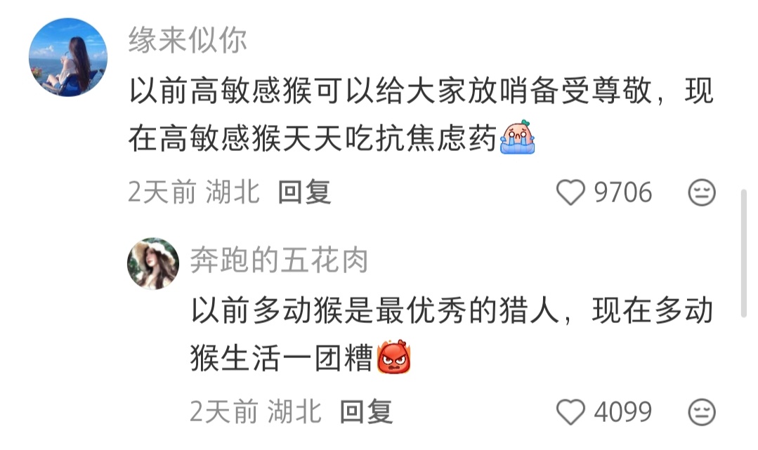 到底是谁毁了我的幸福生活 ​​​
