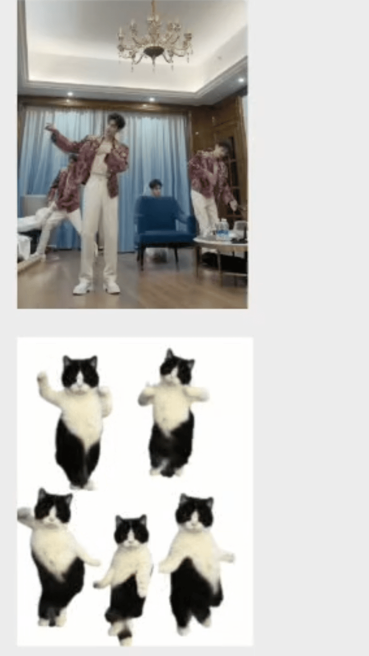笑死我了糯糯一款纯正奶牛猫 