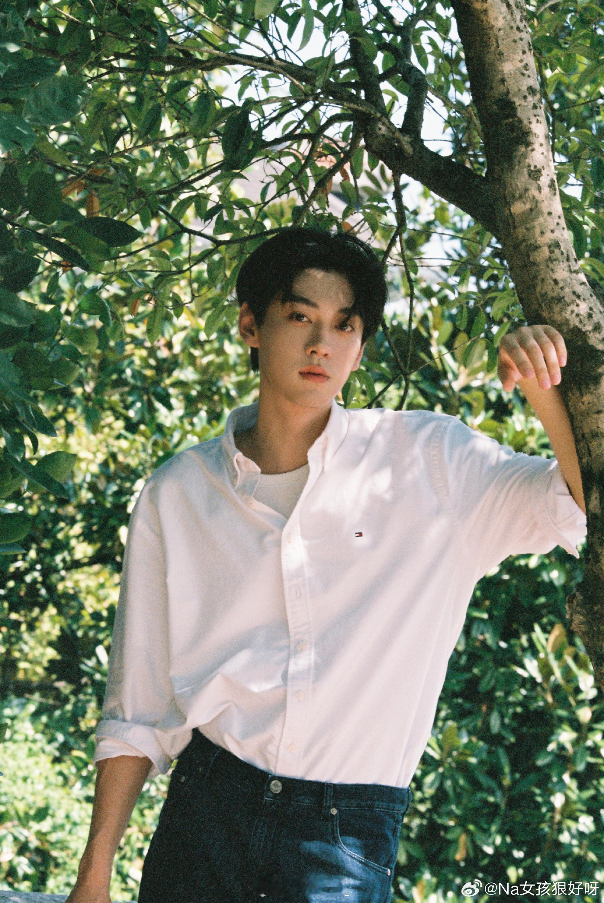 田栩宁txntxn田栩宁好帅 txn向全世界安利田栩宁"是寒冬里绽放的白梅 是骨