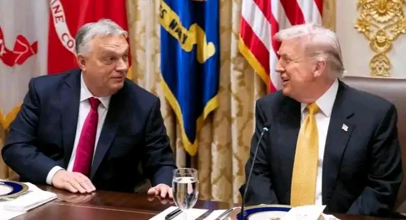 官大压死人了！
美国放的屁真是有理，欧尔班算是是明白人
据当天匈牙利总理欧尔班在