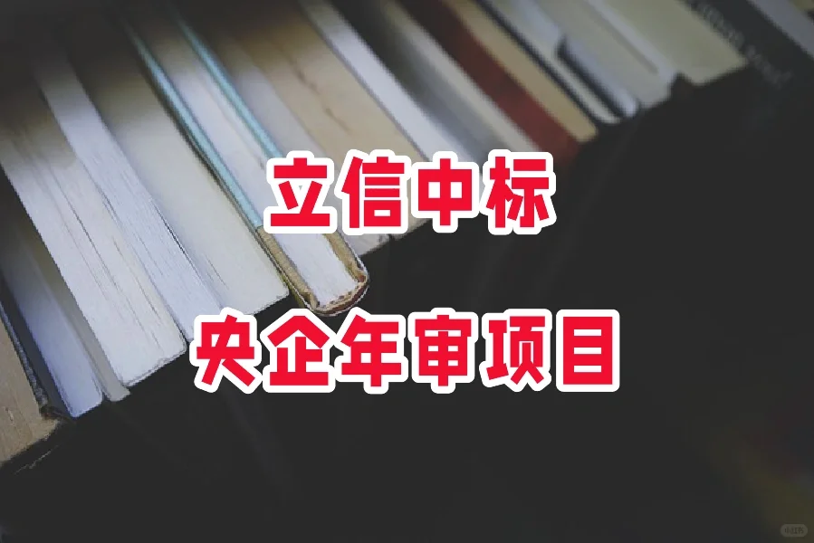 立信中标央企年审项目