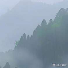 今夜，让心灵化作一只自由飞翔的鸟，穿越夜的迷雾，寻找那片属于自己的星空。晚安，愿