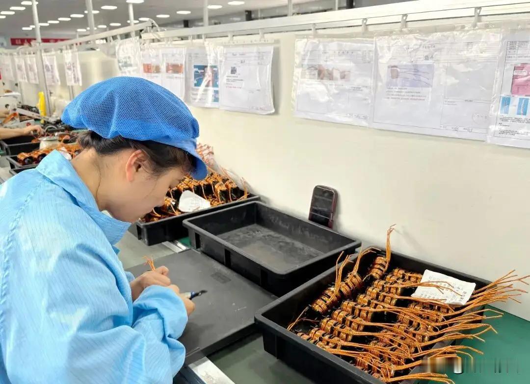 徐州康之弘电子，去年成立的注册资金10万。二百多人那得多少人交社保啊，看看现在交