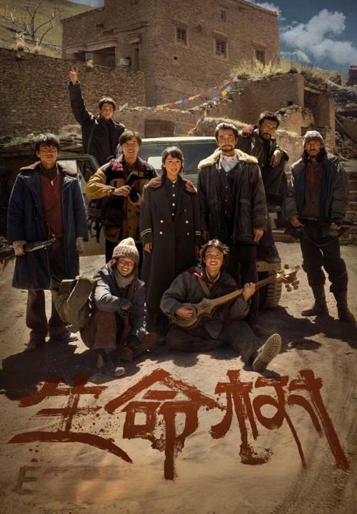 杨紫发千字长文告别“白菊”，字里行间写满不舍与深情。她写道：“白菊，是一朵在高原