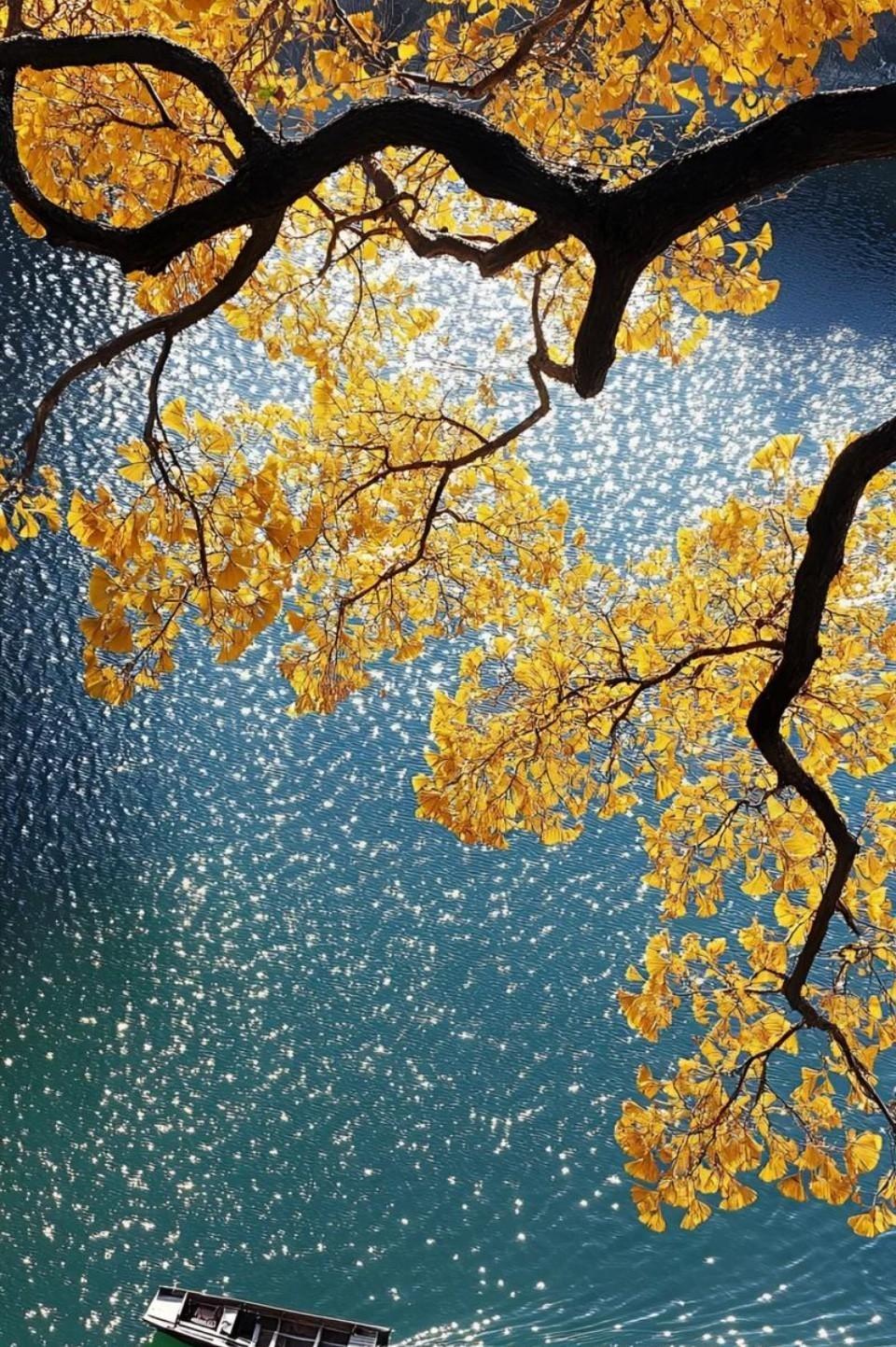 58岁老哥发帖说一个人住，没娃没伴，却一点不慌，退休金到账、房子写自己名、身体还