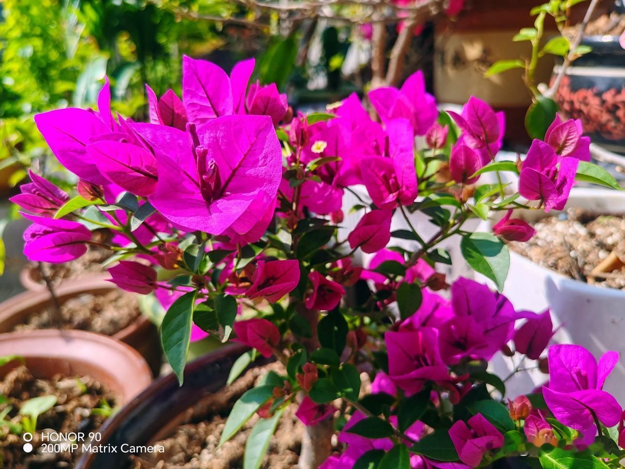 你不快乐，
不是因为你失去了什么，
而是你忘了你已经拥有的一切。

你不是因为必