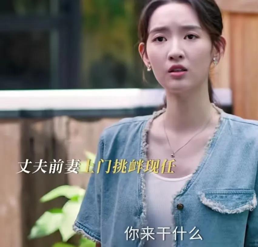 《好团圆》
向南丈夫的前妻找上门挑衅，向南不理解她来找自己干什么，前妻说她把自己