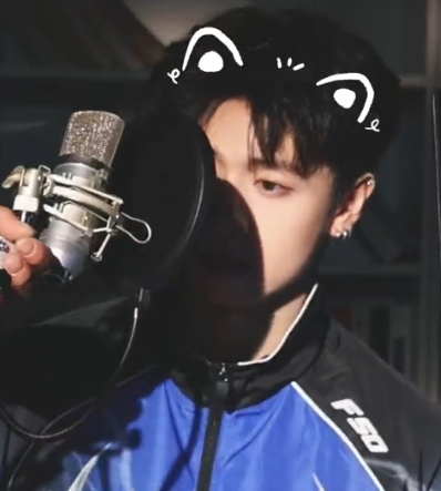 🐱 