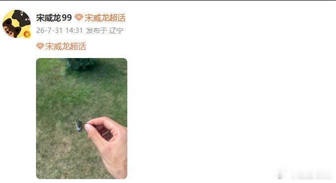 宋威龙手抓知了 宋威龙手抓知了，我的天咧！宋威龙抓知了又放了