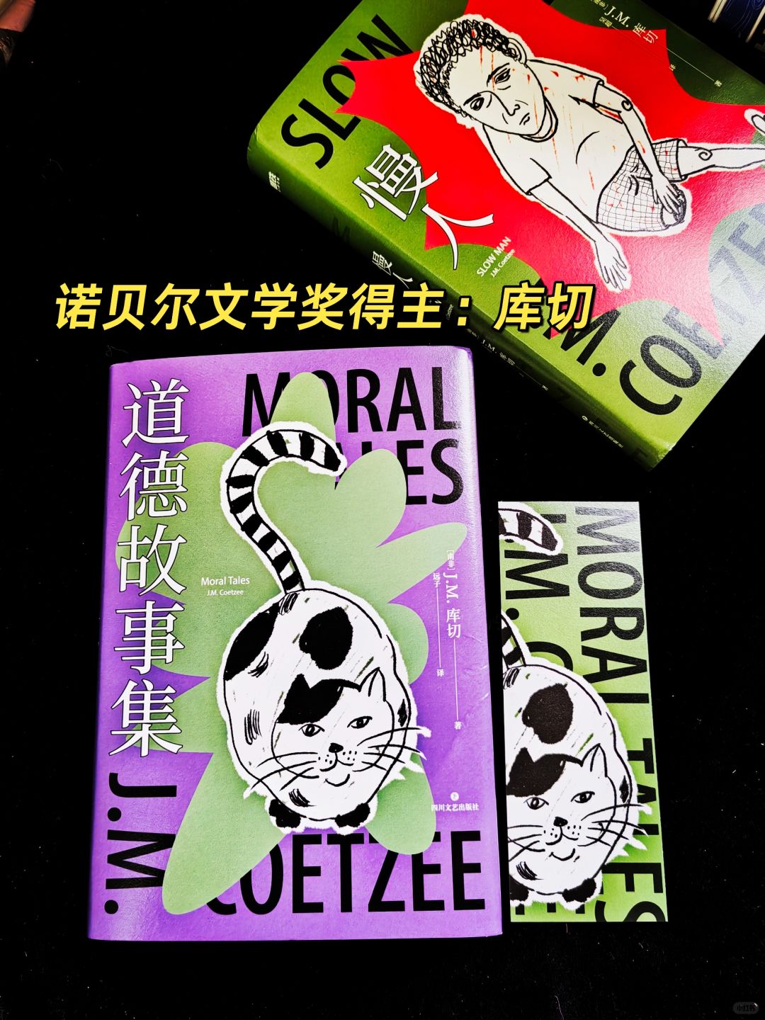 这不是爱。这是别的，和爱尚有差距的东西。