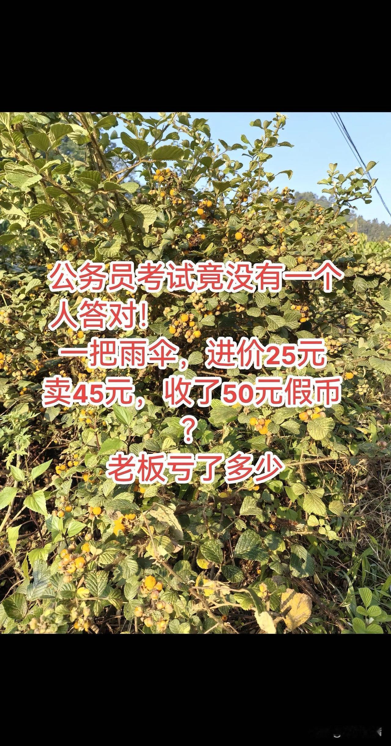 我根本不去想，因为有豆包