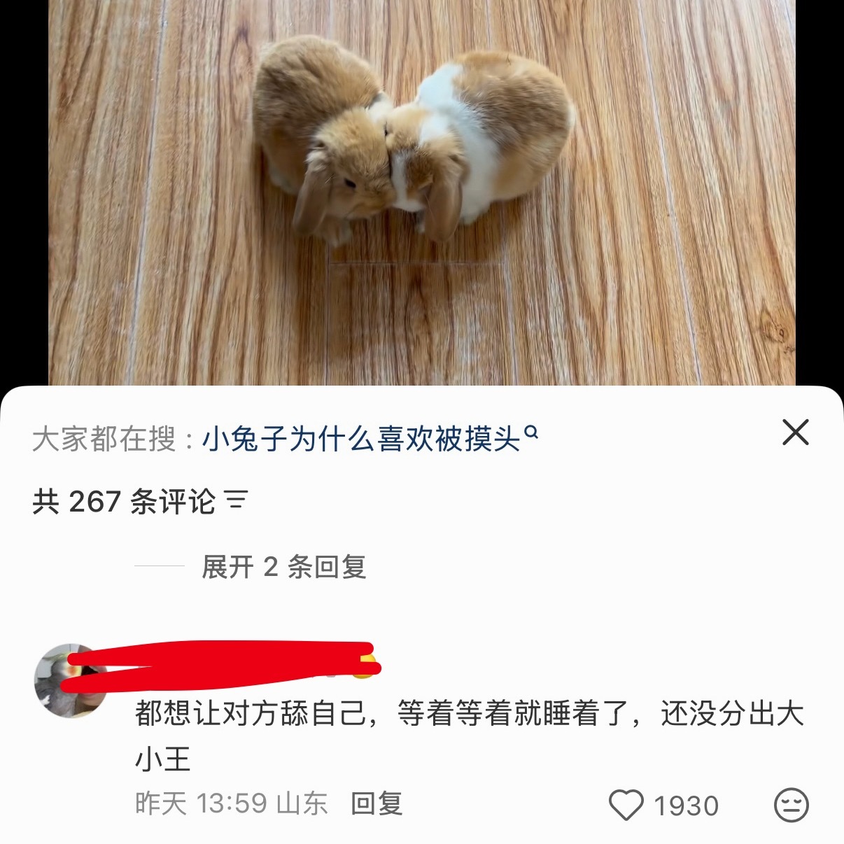 刷到这个兔子为什么喜欢贴在一起，好搞笑，突然想到美元和钱钱奇妙又和谐的关系哈哈哈