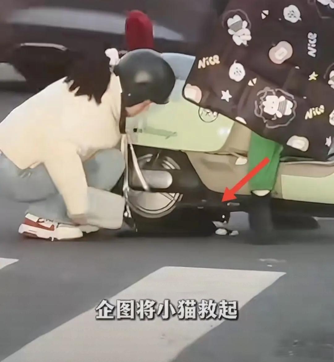 善良的人最美!
近日常州一上班族女孩，在正常上班的途中，看见了一只残疾的流浪猫在