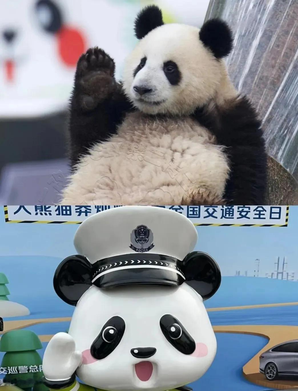 莽小五当警察啦！[比心][比心][比心][比心]
虫洞为了纪念这“高光时刻”，