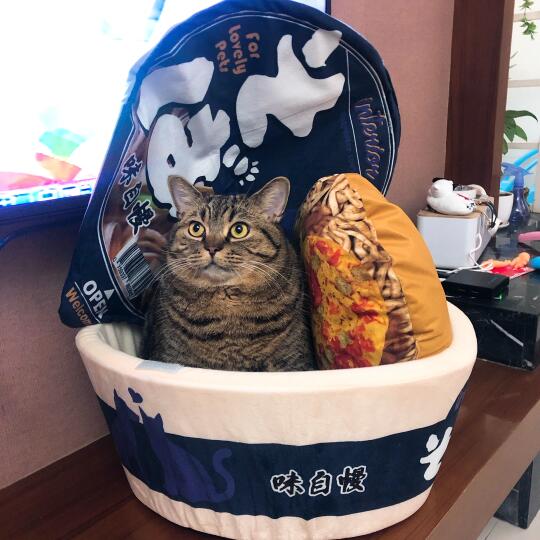 宝宝好可爱