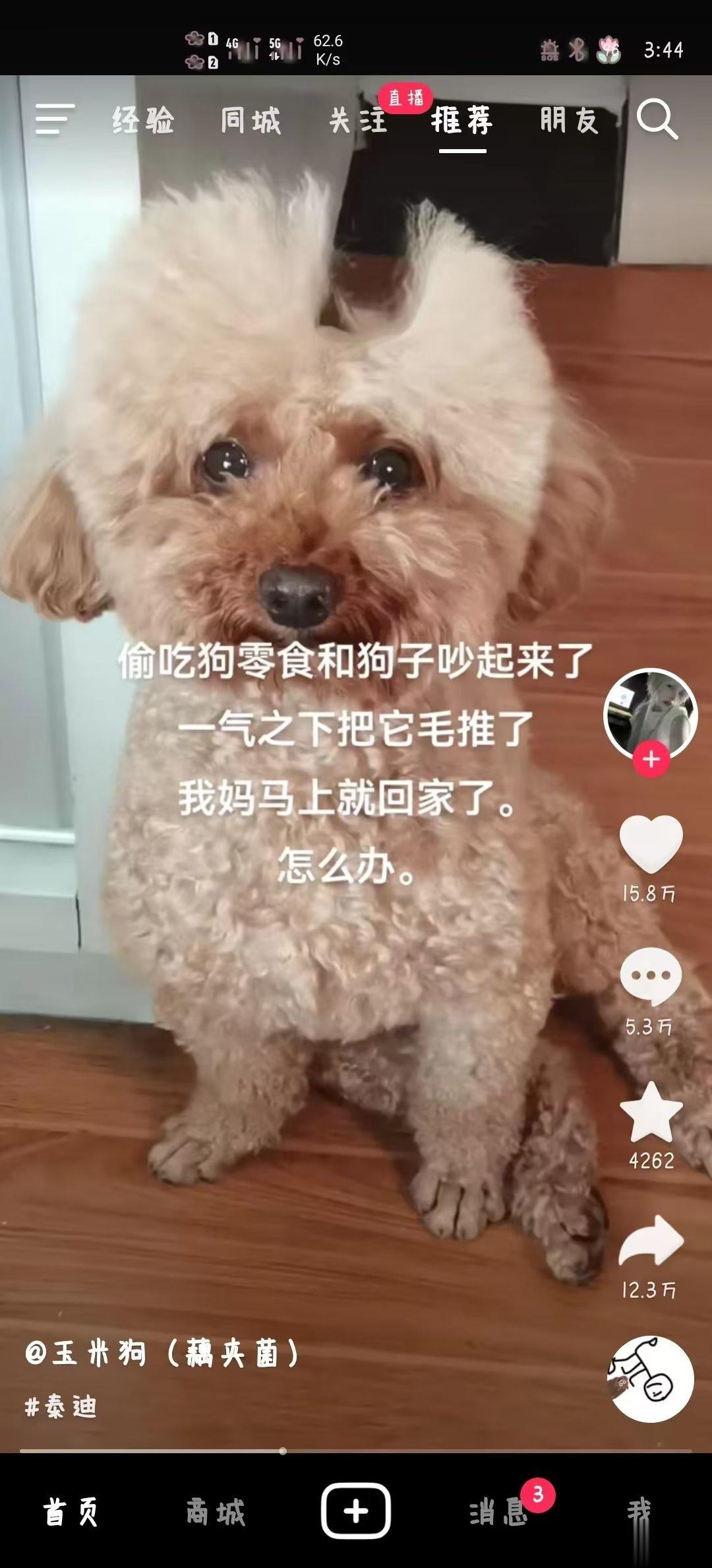 卧槽啊啊啊救命 ​​​