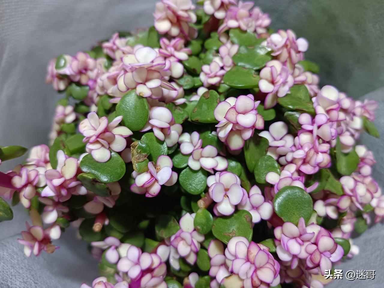 不该太在乎，但也不必完全无视。
 
背后议论你的人，大多不了解你的全貌，只是站在