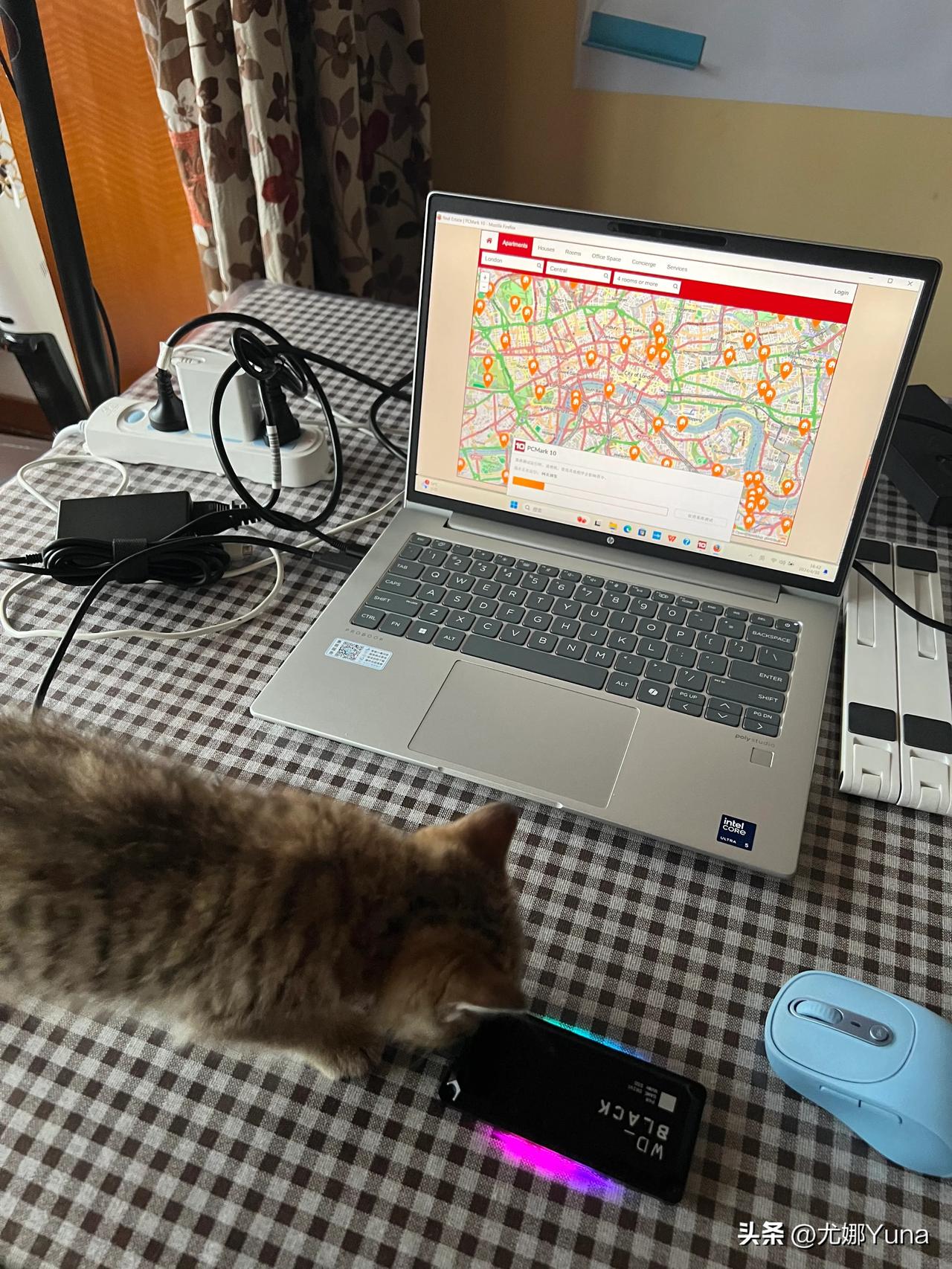 你这是要跟我一起测笔记本吗？
#猫咪一刻#